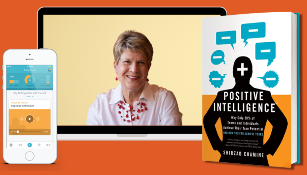 Saboteur to Sage Display